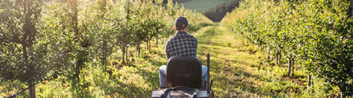 Neurodivergent workers overlooked in New Zealand